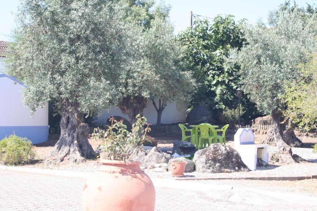 Photo of Outdoor in Evora