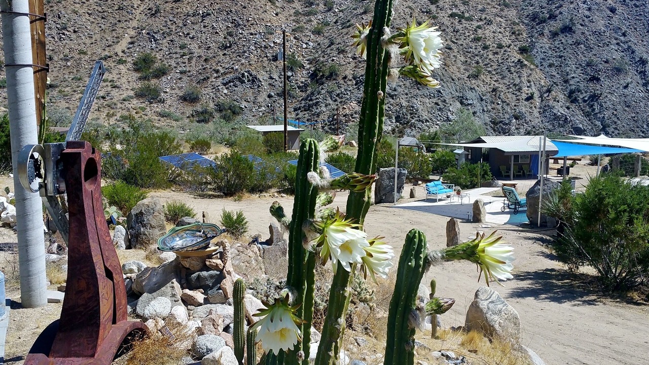 Photo of Others in Morongo Valley