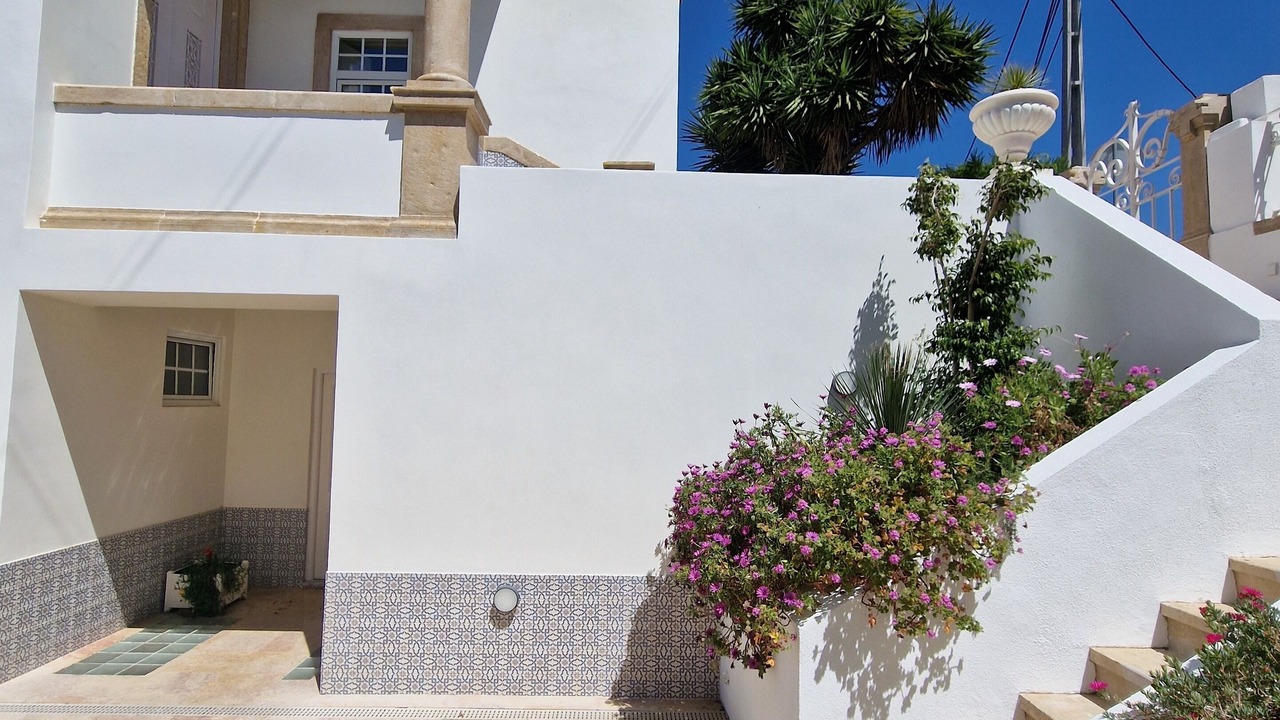 Photo of Others in Cascais