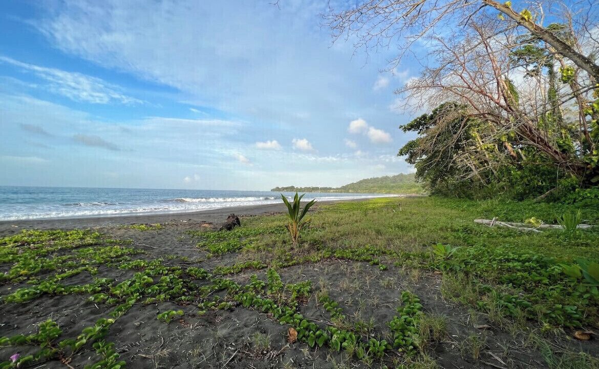 Photo of Others in Puerto Viejo de Talamanca
