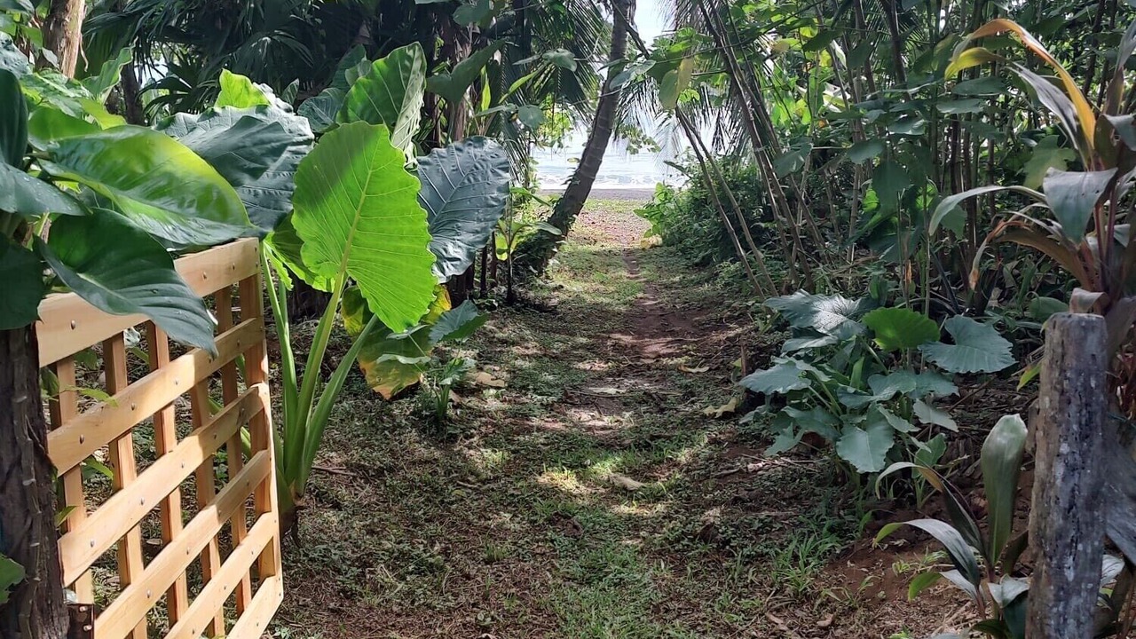 Photo of Others in Puerto Viejo de Talamanca