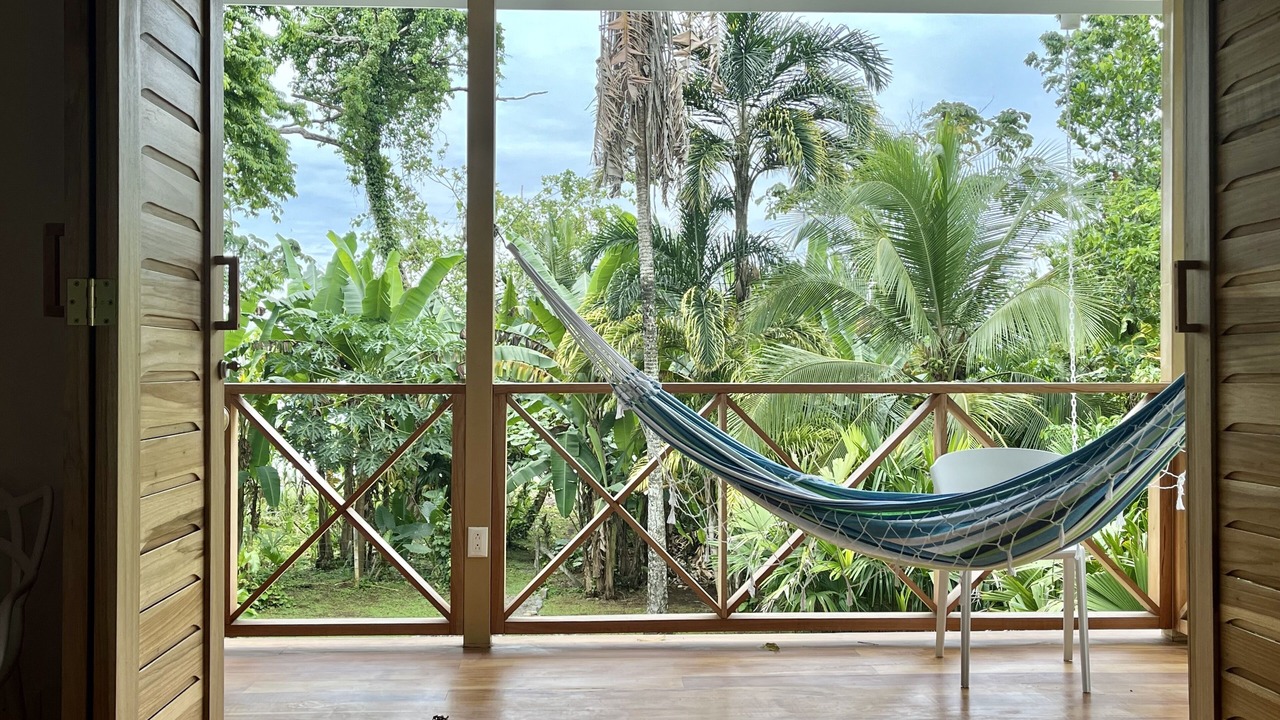 Photo of Others in Puerto Viejo de Talamanca