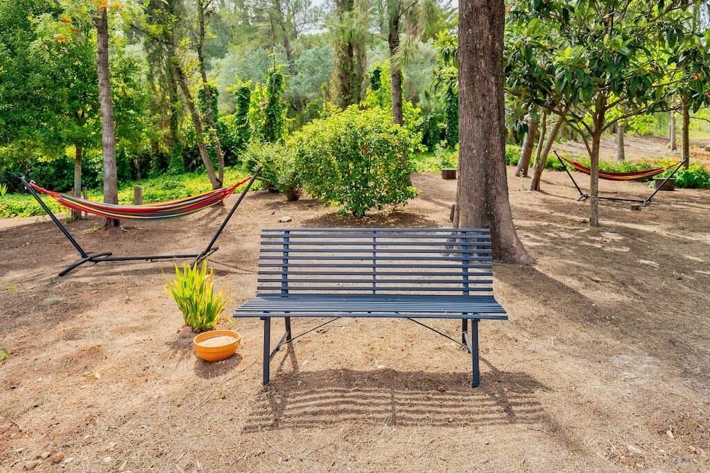 Photo of Outdoor in Setubal