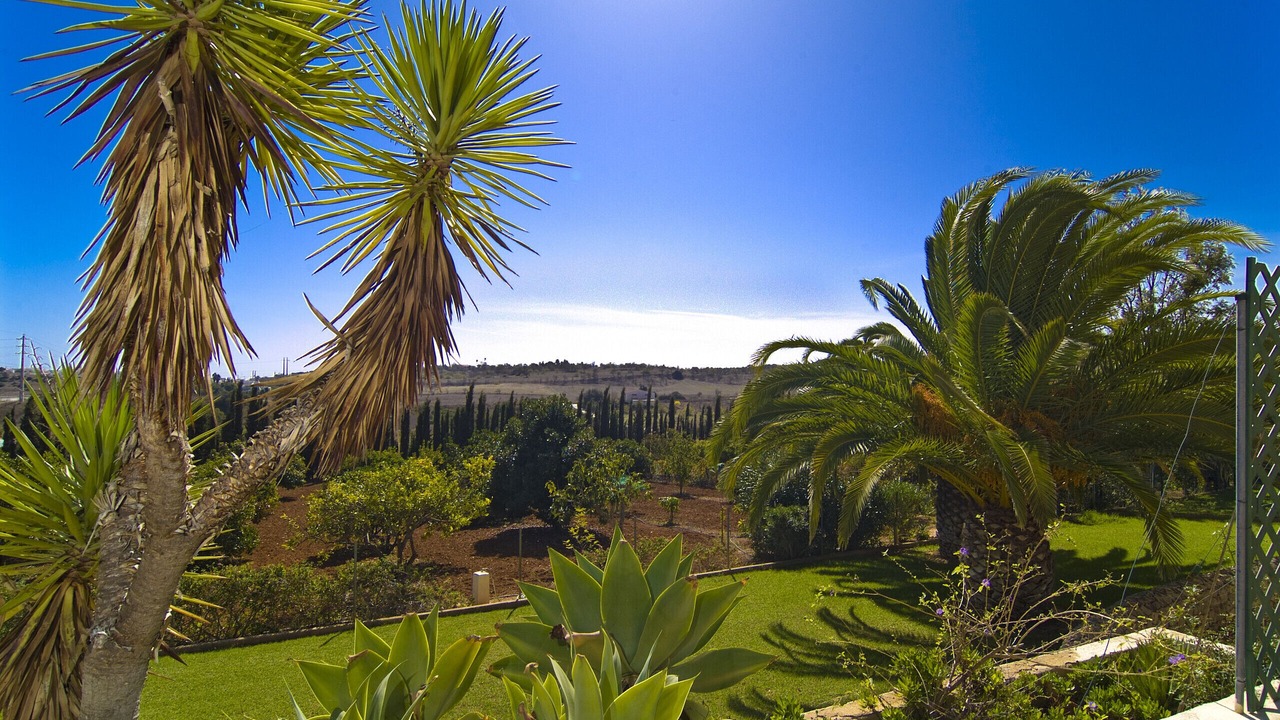 Photo of Outdoor in Funchal