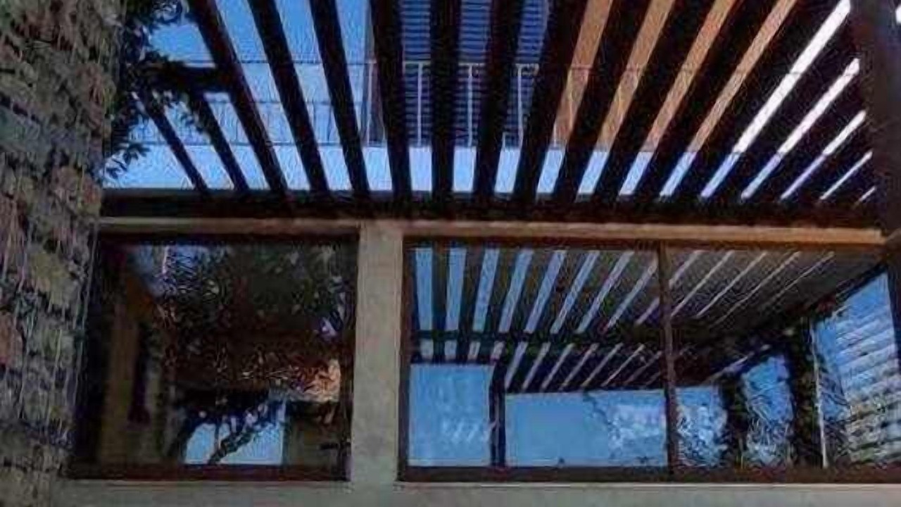 Photo of Outdoor in Lousa