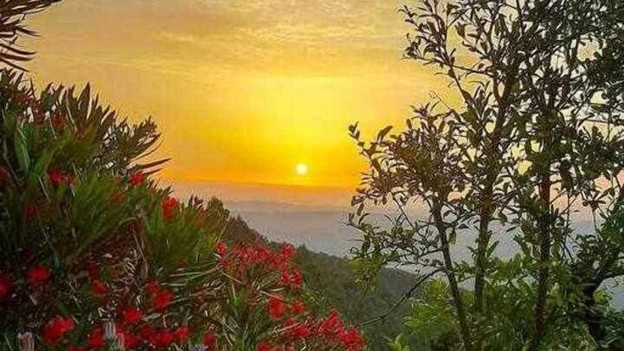 Photo of Outdoor in Lousa