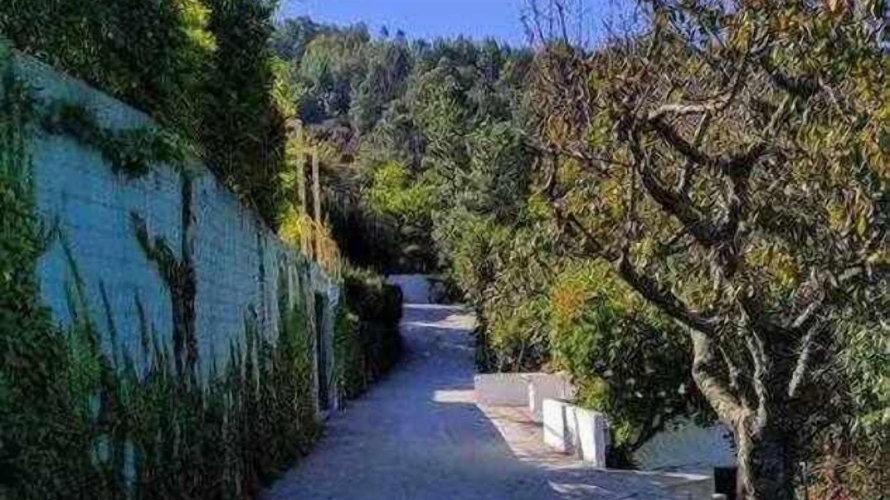 Photo of Outdoor in Lousa