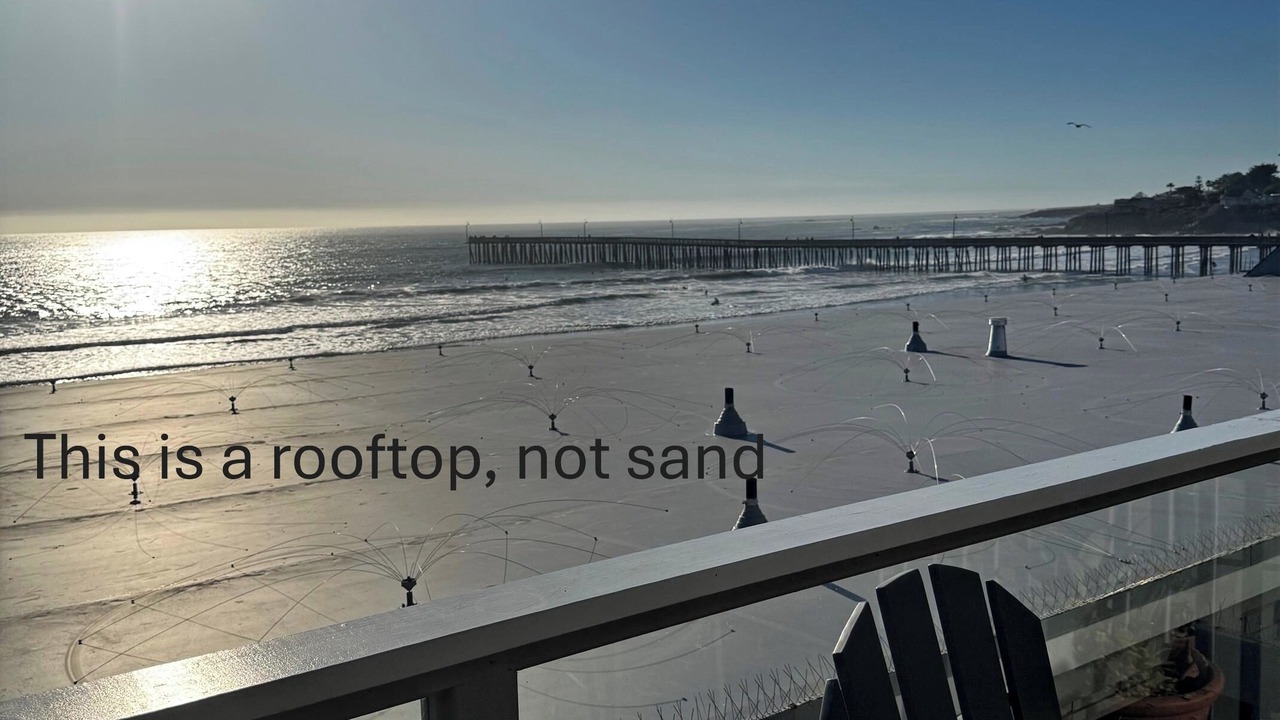 Photo of Outdoor in Cayucos