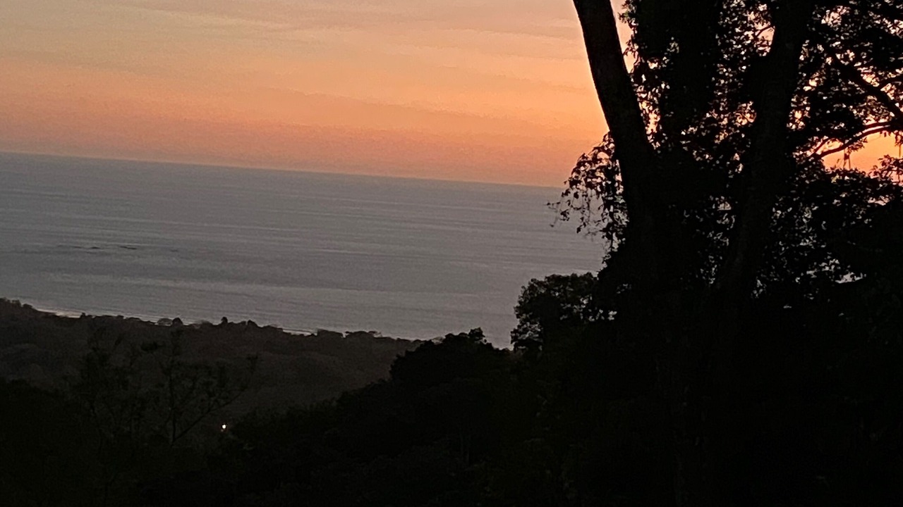 Photo of Others in Ballena