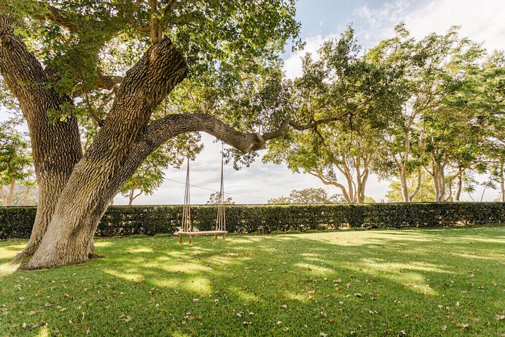 Photo of Others in Santa Ynez
