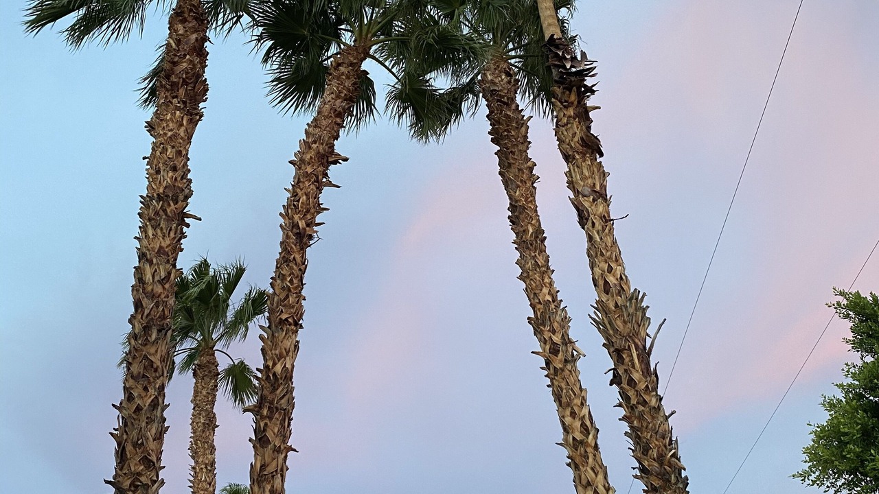 Photo of Outdoor in Palm Springs