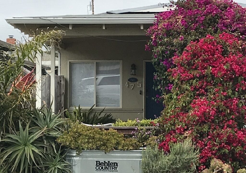 Photo of Outdoor in Half Moon Bay