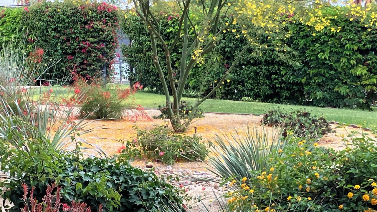 Photo of Outdoor in Palm Desert