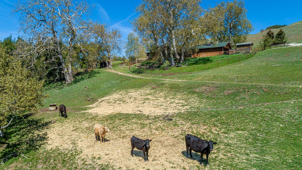 Photo of Outdoor in Atascadero