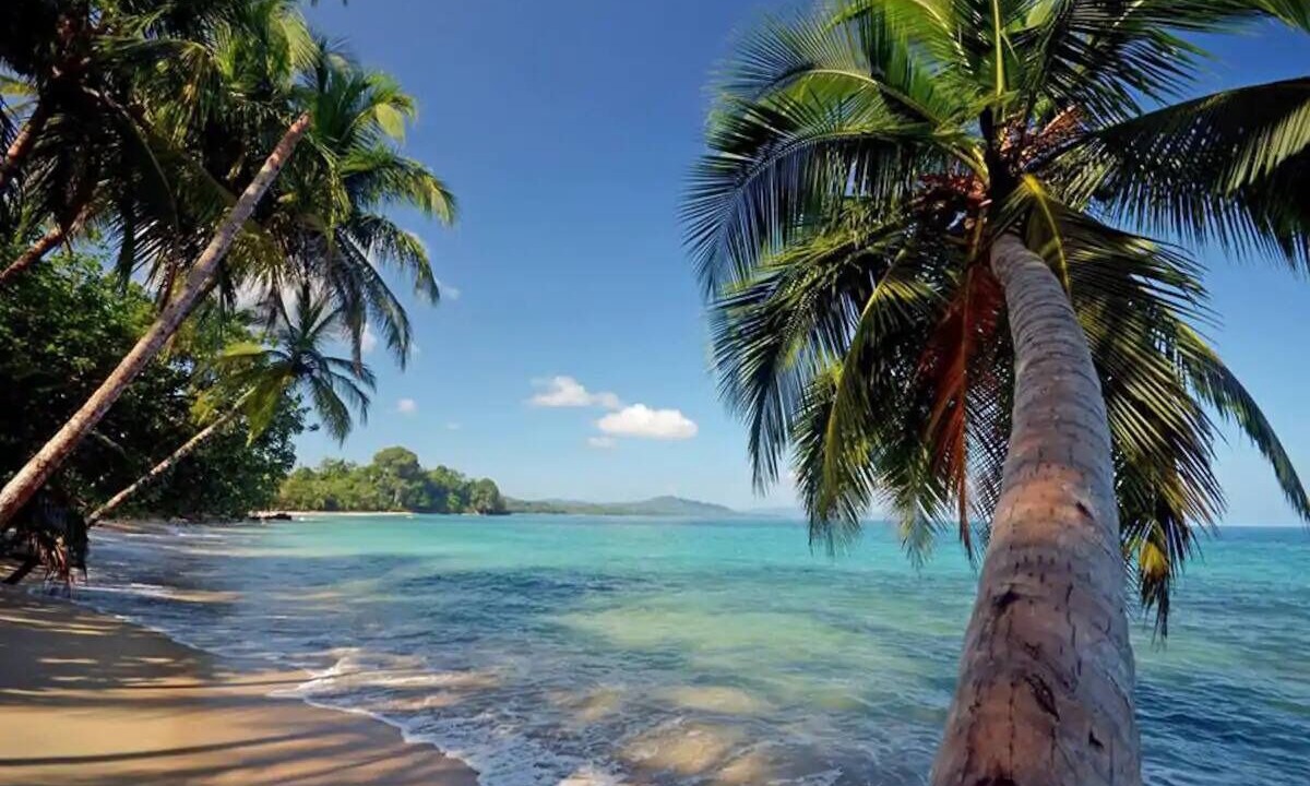 Photo of Others in Puerto Viejo de Talamanca