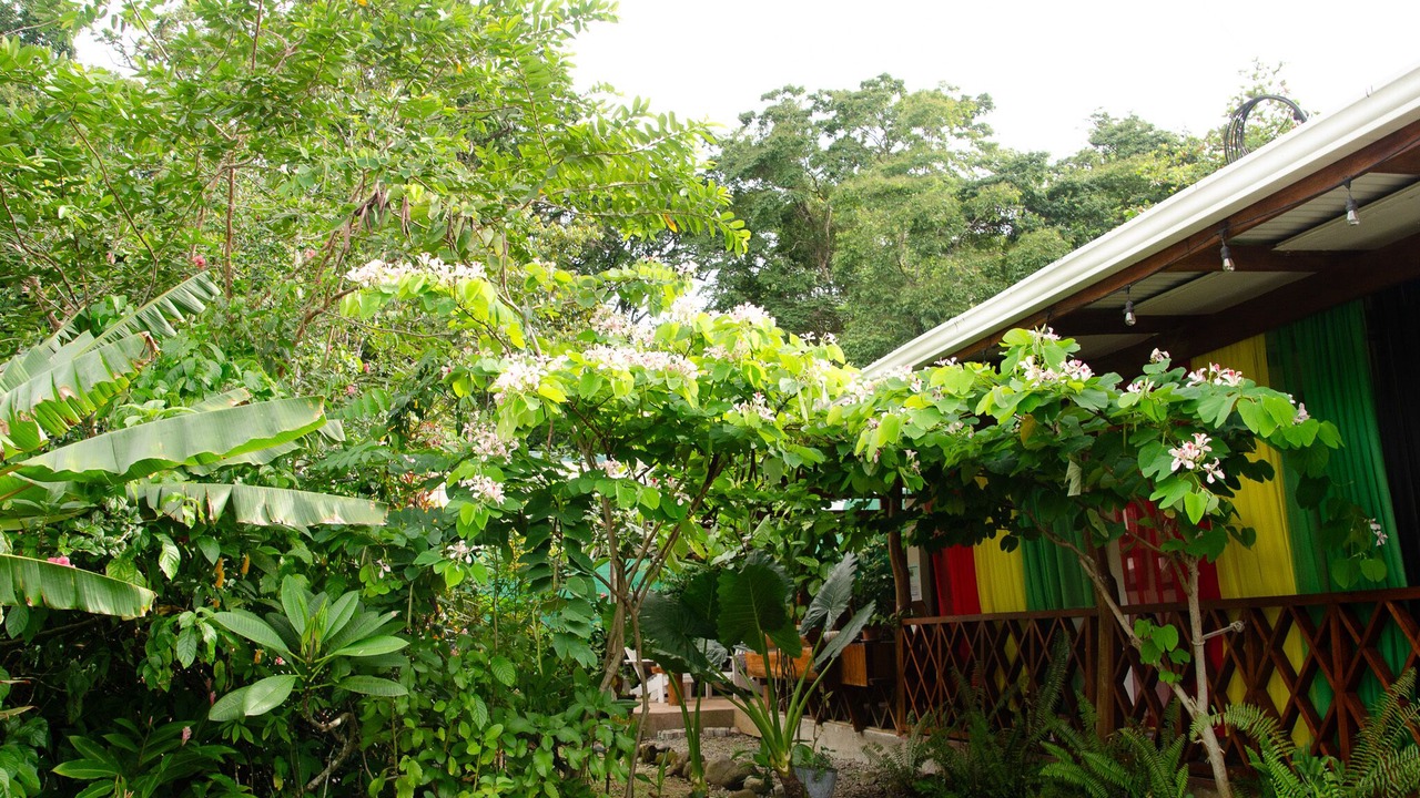 Photo of Outdoor in Puerto Viejo de Talamanca