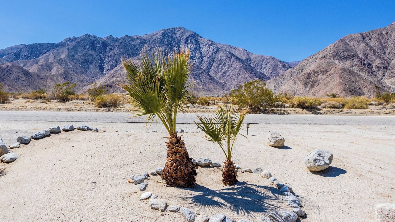 Photo of Others in Borrego Springs