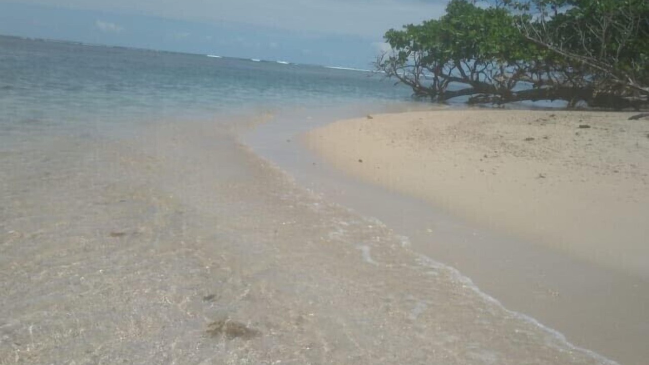Photo of Others in Cahuita