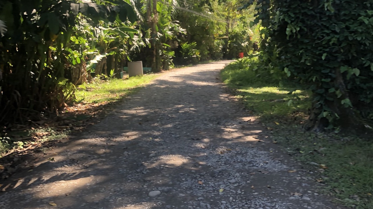 Photo of Outdoor in Cahuita