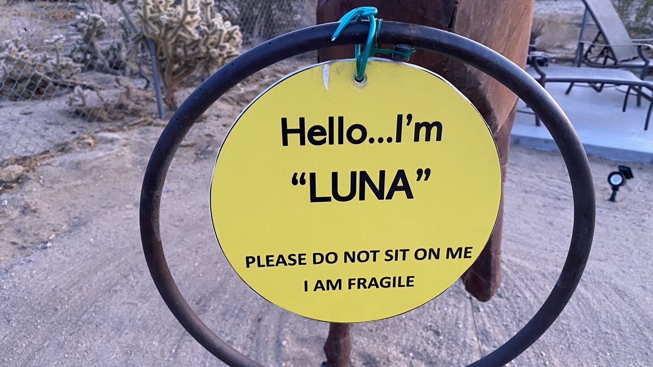 Photo of Outdoor in Joshua Tree