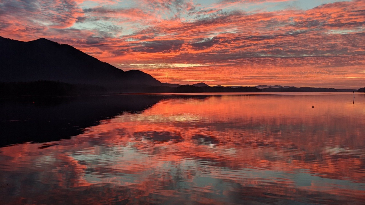 Photo of Others in Tofino