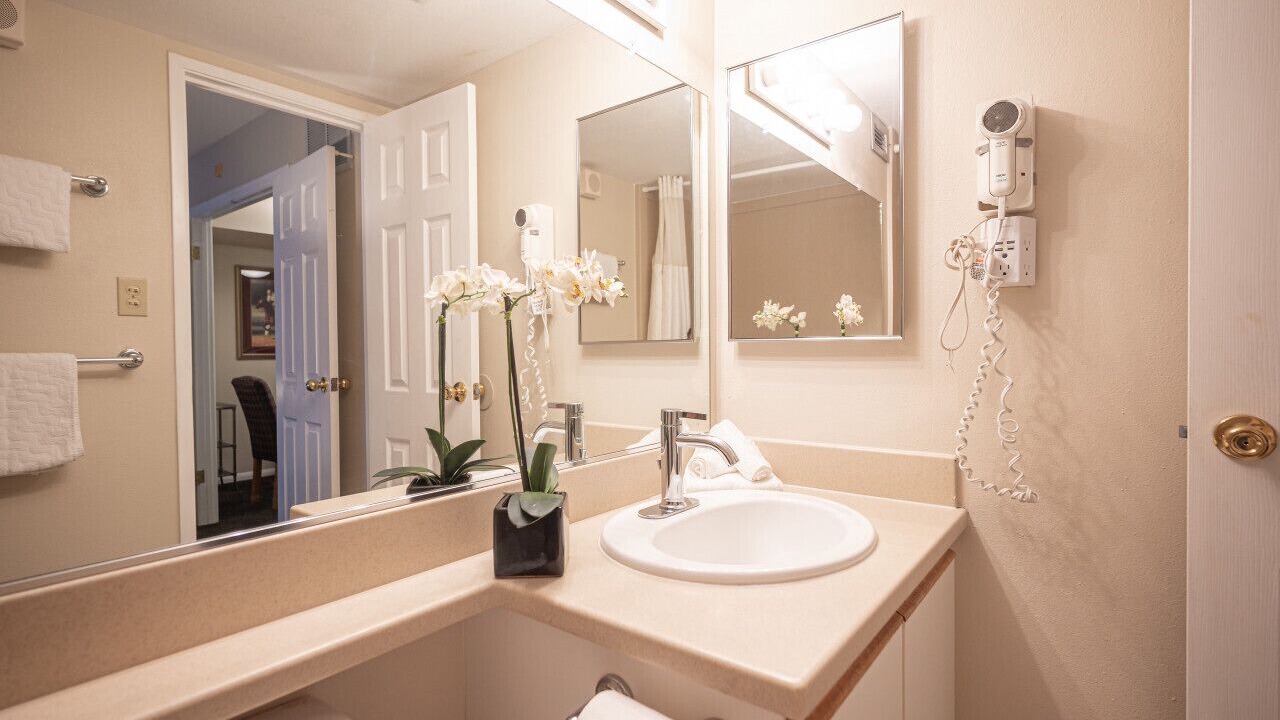 Photo of Bathroom in Las Vegas Strip
