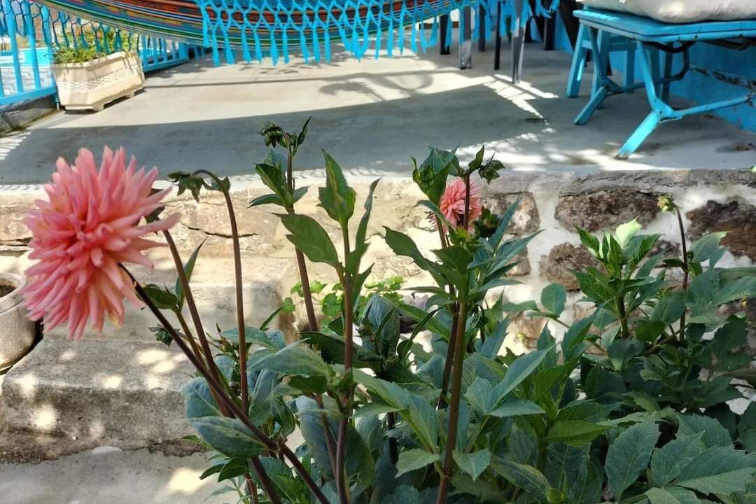 Photo of Outdoor in Penela