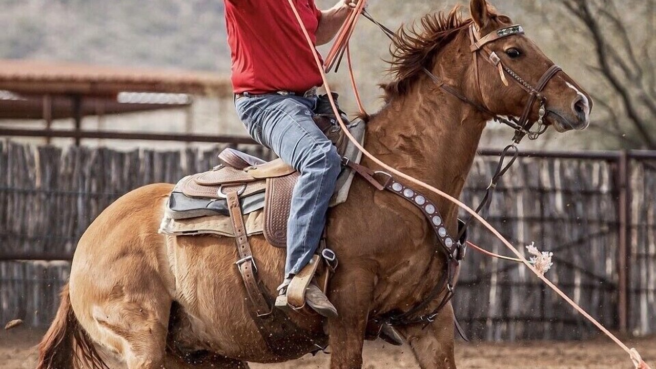 Photo of Others in Wickenburg