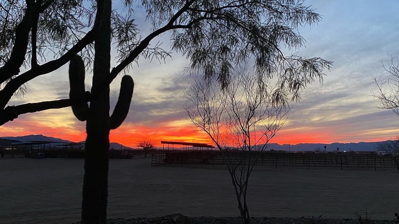 Photo of Others in Wickenburg