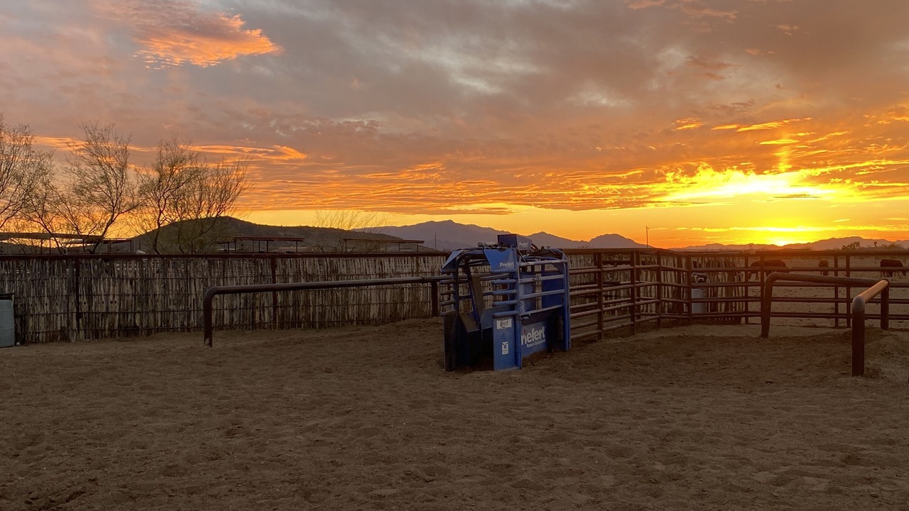 Photo of Outdoor in Wickenburg