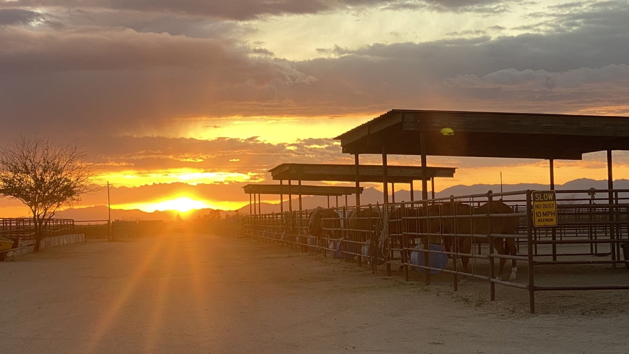 Photo of Outdoor in Wickenburg