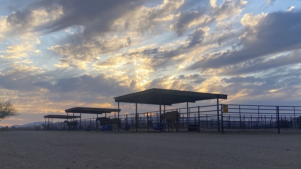Photo of Others in Wickenburg