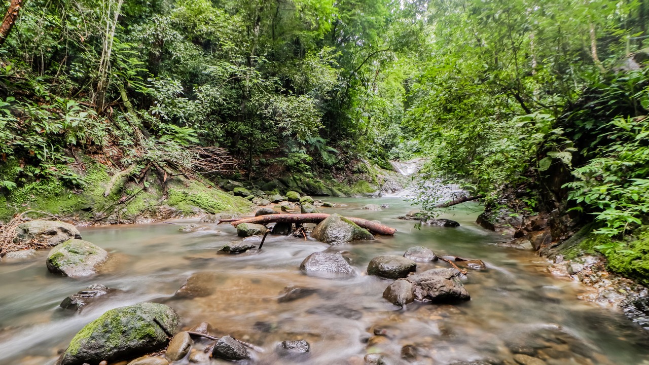 Photo of Outdoor in Tres Rios
