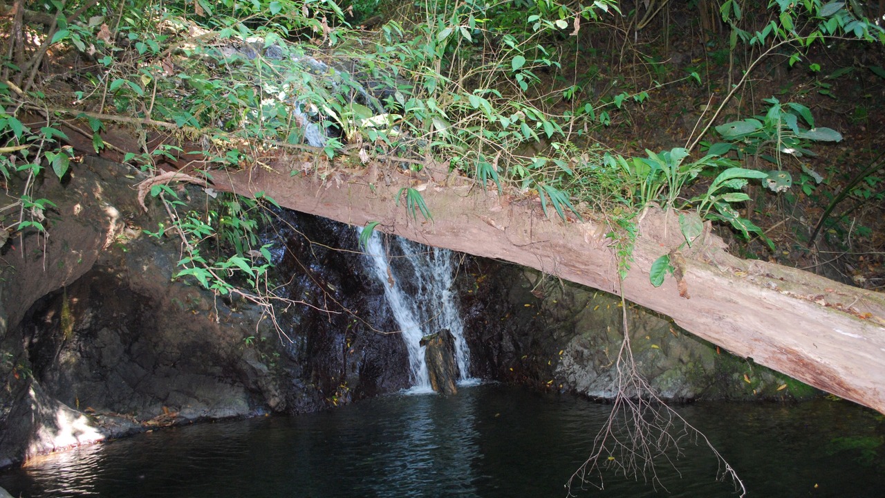 Photo of Outdoor in Tres Rios