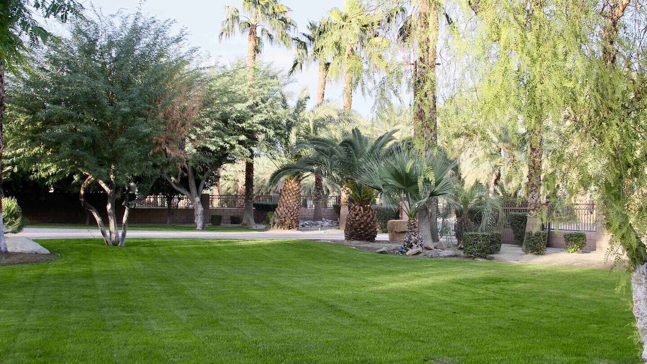 Photo of Outdoor in Palm Springs