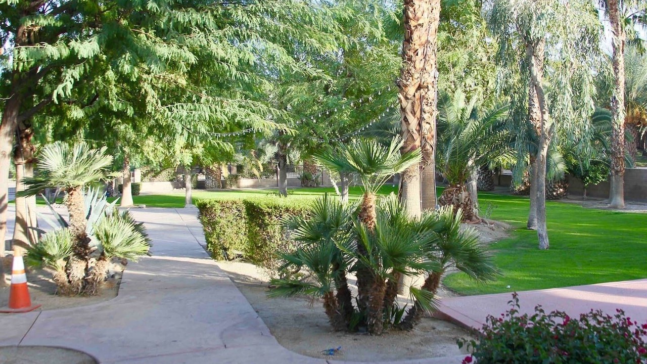 Photo of Outdoor in Palm Springs