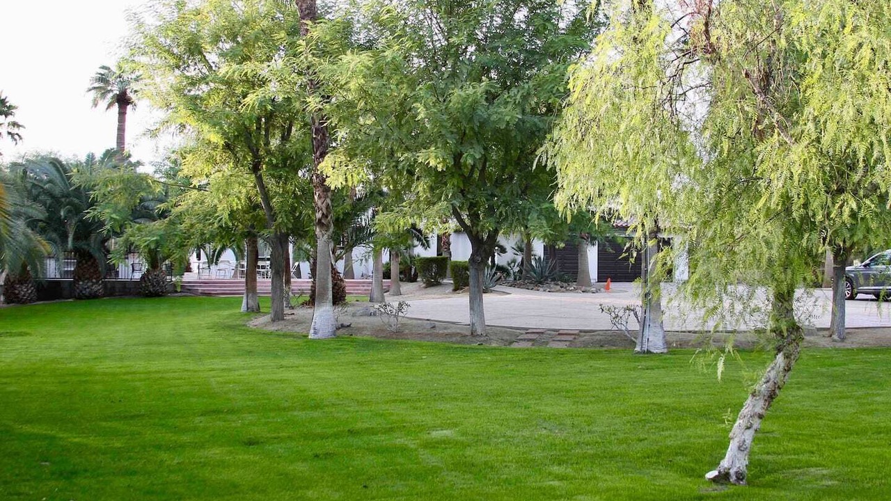Photo of Outdoor in Palm Springs