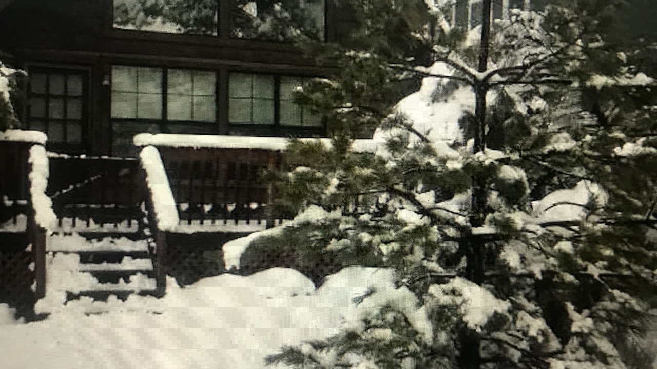 Photo of Outdoor in Frazier Park