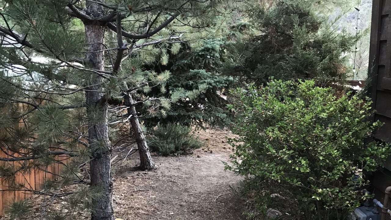 Photo of Outdoor in Frazier Park