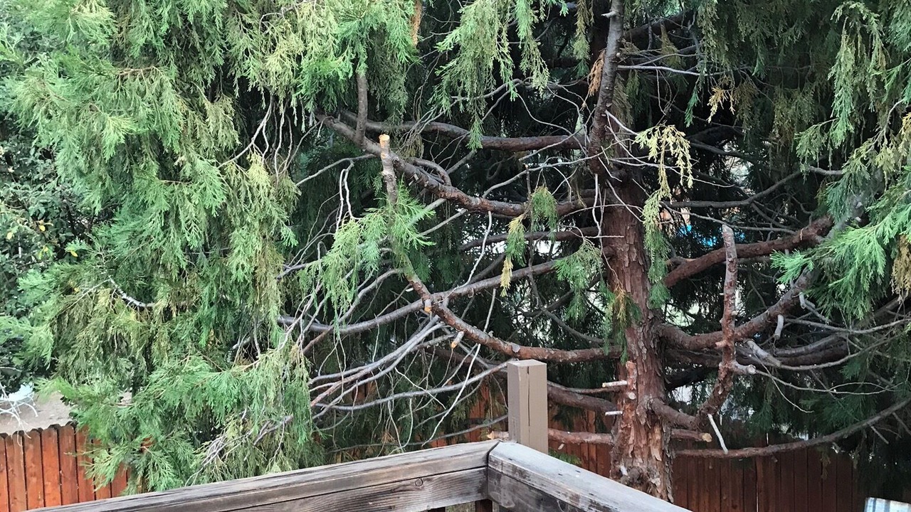 Photo of Outdoor in Frazier Park