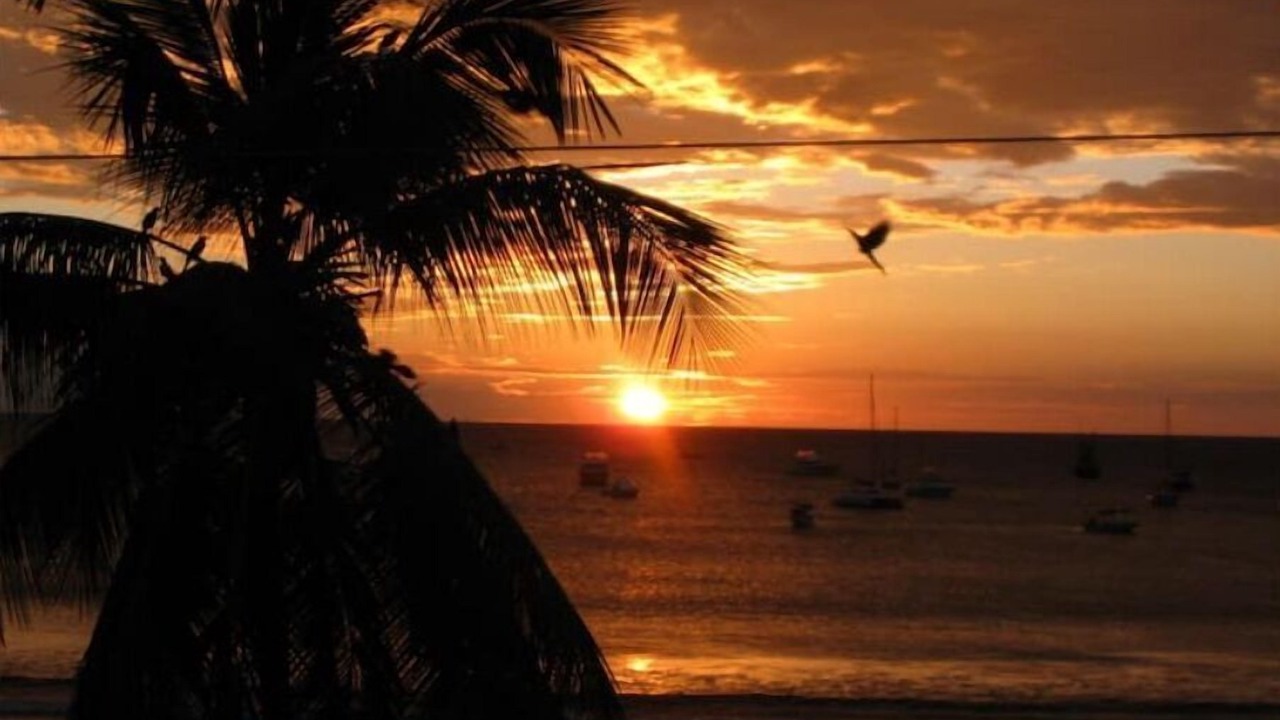 Photo of Others in San Juan del Sur