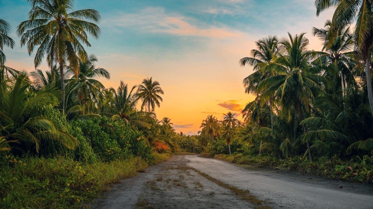 Photo of Outdoor in Taveuni Island West