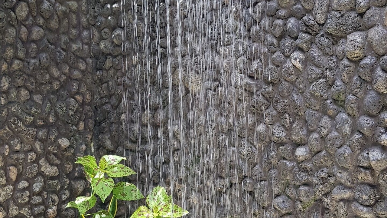 Photo of Outdoor in Taveuni Island West