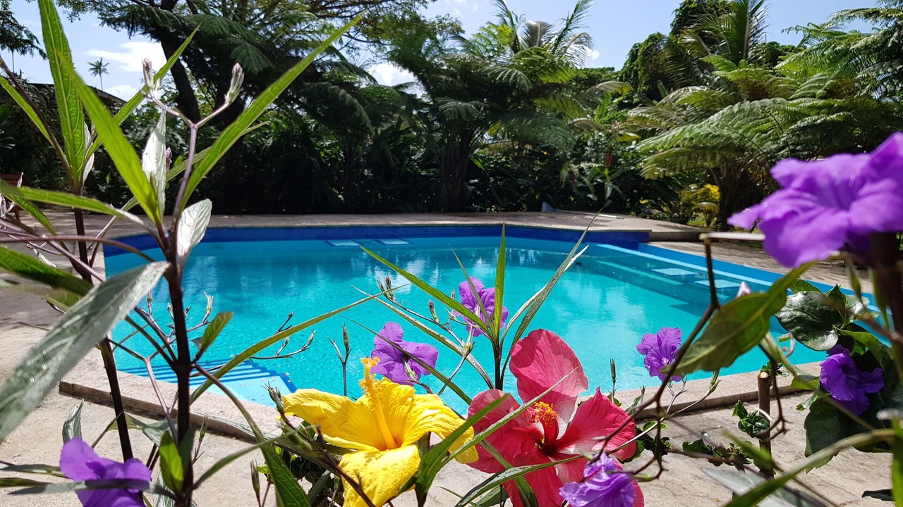 Photo of Outdoor in Taveuni Island West