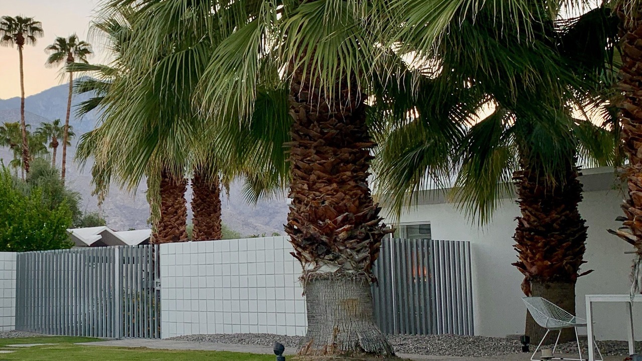 Photo of Outdoor in Araby Commons