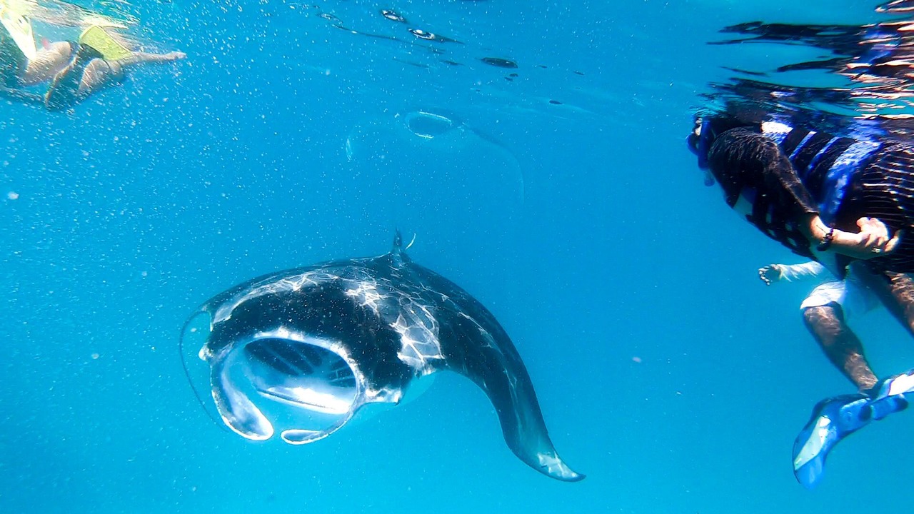 Photo of Others in Dharavandhoo