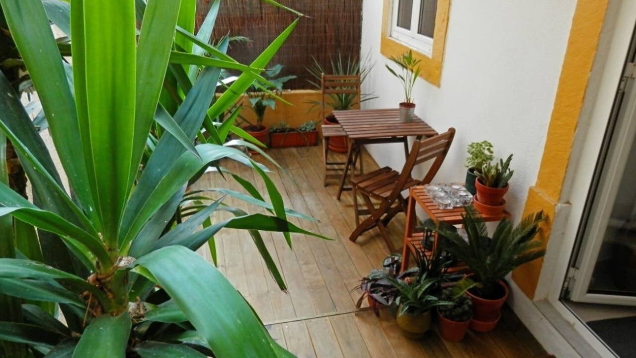 Photo of Outdoor in Santo Condestavel