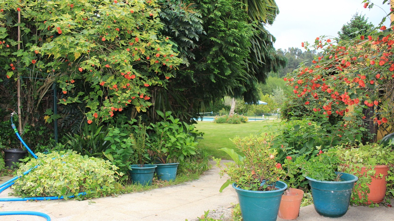 Photo of Outdoor in Arouca