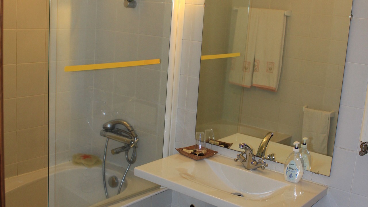 Photo of Bathroom in Arouca