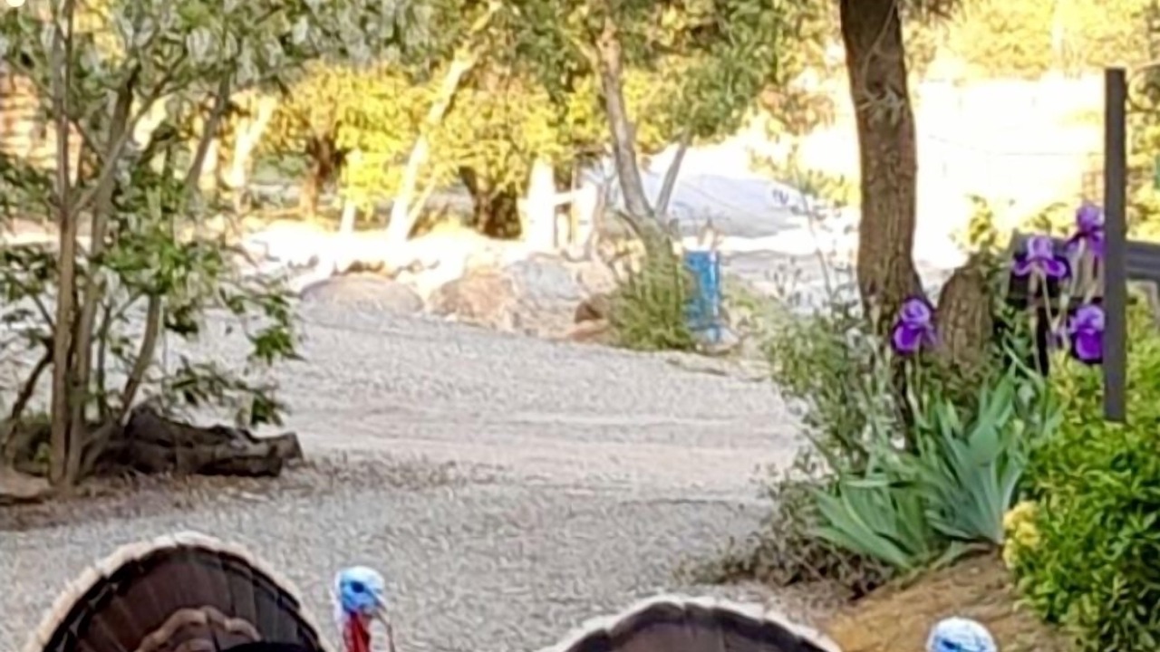 Photo of Outdoor in Three Rivers